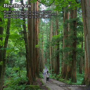 Piano Sonata No. 30 in E Major, Op. 109: III. Gesangvoll, mit Innigster Empfindung. Andante molto cantabile ed espressivo
