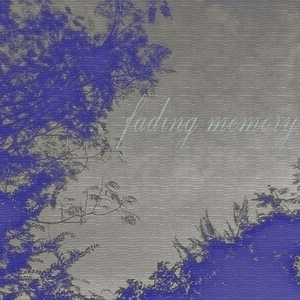 fading memory
