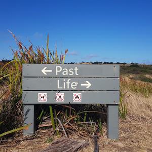 Past Life (feat. Breana Marin)