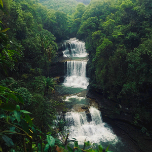 Relaxation to the Rush of Water and Bird Chirping at the Footsteps of the Mountains