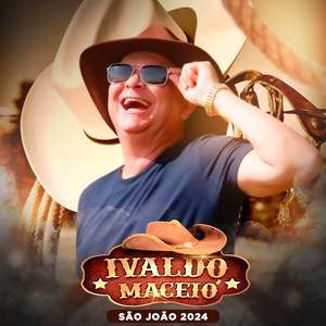 O Vaqueiro e a Patricinha