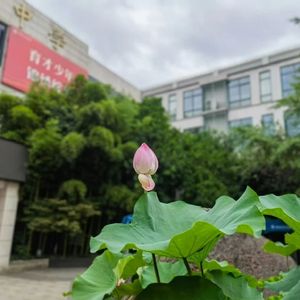 我们从这儿飞翔