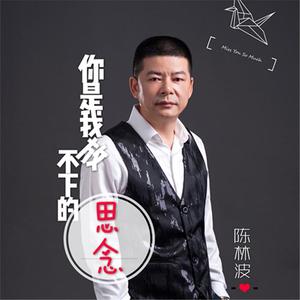 你是我放不下的思念（DJ）