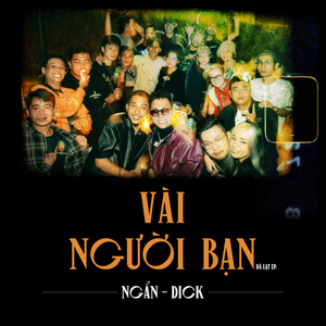 Vài Người Bạn