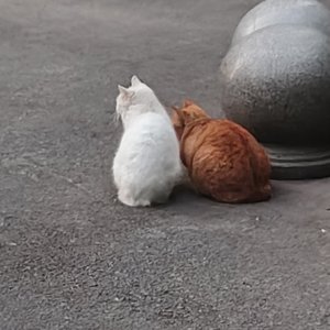 投资失败后的人生崩塌