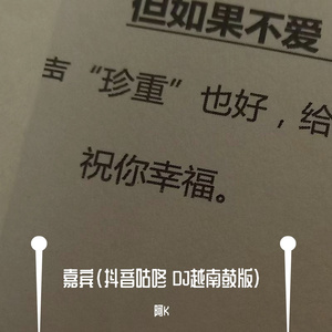 嘉宾（抖音DJ 咕咚越南鼓版）