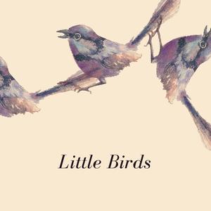 Little Birds
