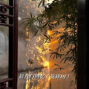 辞九门回忆 (旋律DJ)