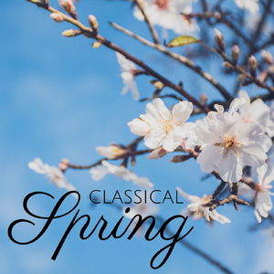 The Four Seasons, Concerto No. 1 in E Major, RV 269 "Spring":I. Allegro