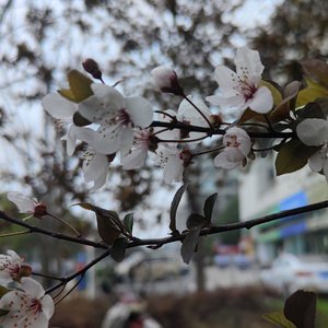 黄昏的温柔救赎