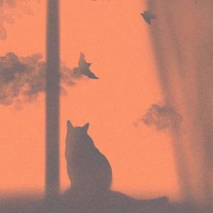 半情歌（Cover 元若蓝）