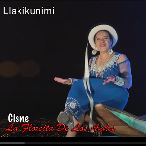 Llakikunimi