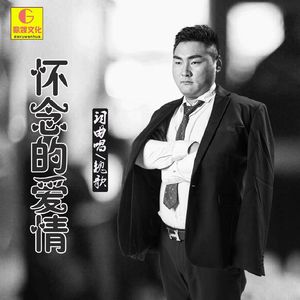 怀念的爱情（DJ小魏版伴奏）