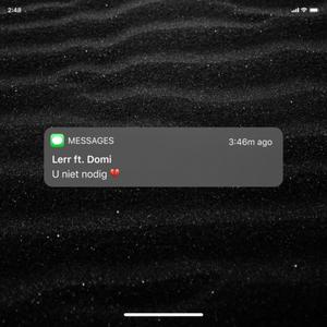 U Niet Nodig (feat. Domi)