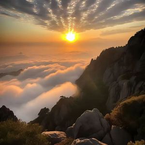 千金散尽还复来