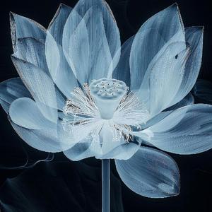 爱人比朋友难做