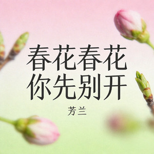 春花春花你先别开