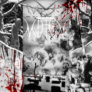 A Soul Carved into Hatred, Fit Only for My Existence