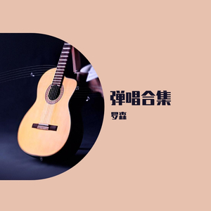 我的这些年（demo）