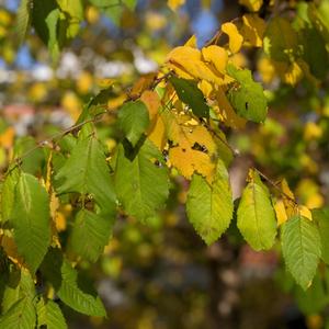 2021 Better Be Better