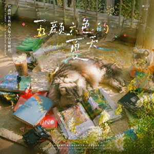 五颜六色的夏天