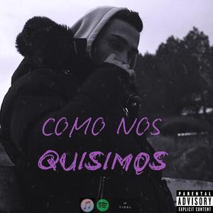 COMO NOS QUISIMOS