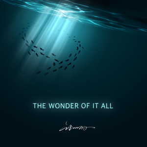 The Wonder Of It All