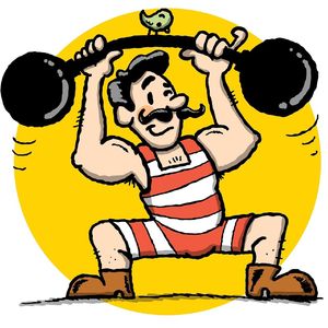 青林翠竹间的四时流转