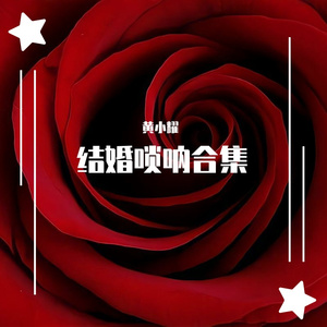 九妹VS粉红色的回忆