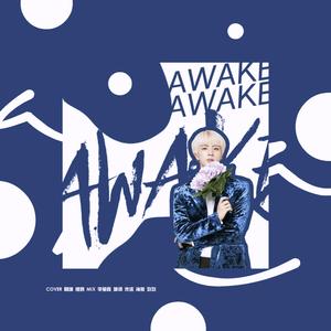 启明星（翻自 阿珍）