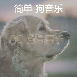 背景音乐-狗