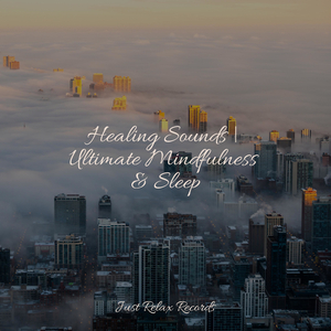 Whispering Petals' Song