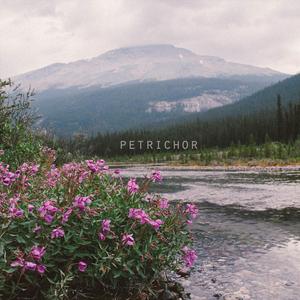 Tumble in the Wind (Jackson C. Frank)