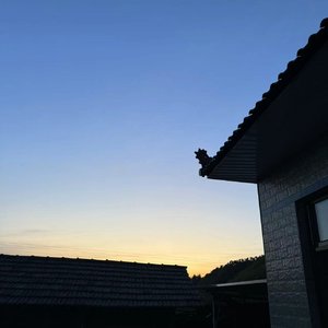 如果那通电话有接通-0412