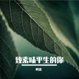 致素昧平生的你