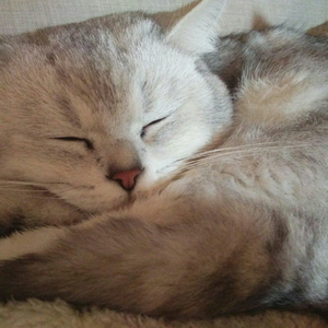 意识（Prod EVOMUSIC）