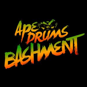 Bashment (Original Mix)