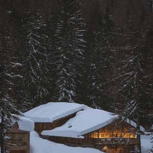 If We Only Have Each Other