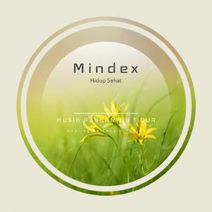 Sleep Music Hidup Sehat dengan Solfeggio 741 Hz