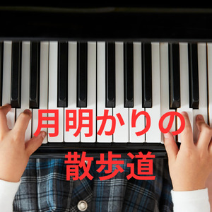 月明かりの散歩道