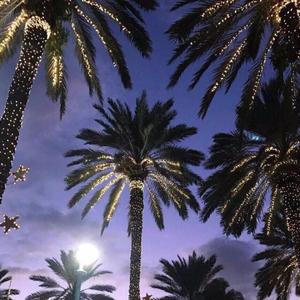 A⃕k⃕r⃕a⃕m⃕ 1998 - EA七 安排