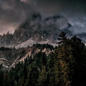 解压放松轻音乐.倔强的你(古筝)