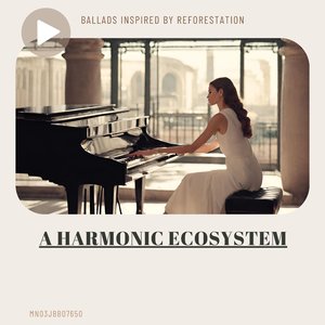 Serenade in D (Live at Gentleman Studio)