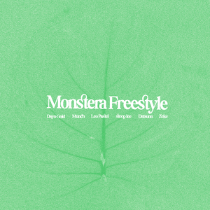 Monstera Freestyle
