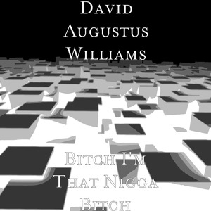 ***** I'm That Nigga Bitch