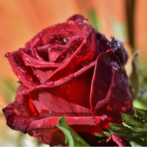 【Scorpio】＂回忆＂Emo Drill Type Beat