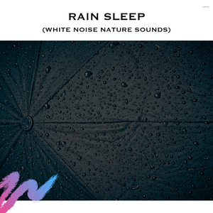 Rain White Noise (Loopable)