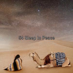 屈服于你的疲倦