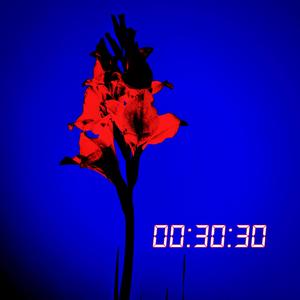 00:30:30