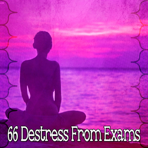 沉浸在你的靈魂中